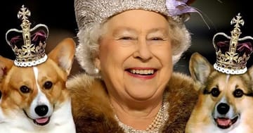 Queen Elizabeth Ii Has Owned More Than 30 Corgi Dogs During Her Reign,Ikea Kitchen Corner Pantry Cabinet
