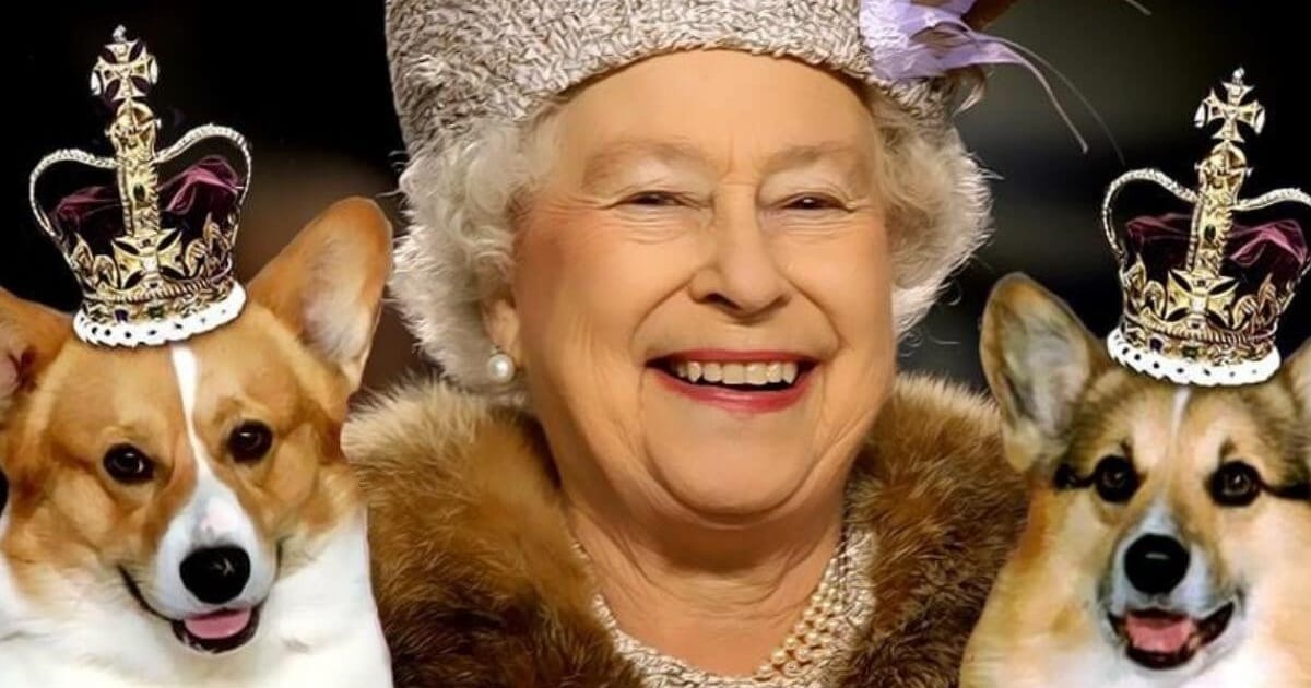 Queen Elizabeth Ii Has Owned More Than 30 Corgi Dogs During Her Reign,Abstract The Art Of Design Paula Scher Graphic Design