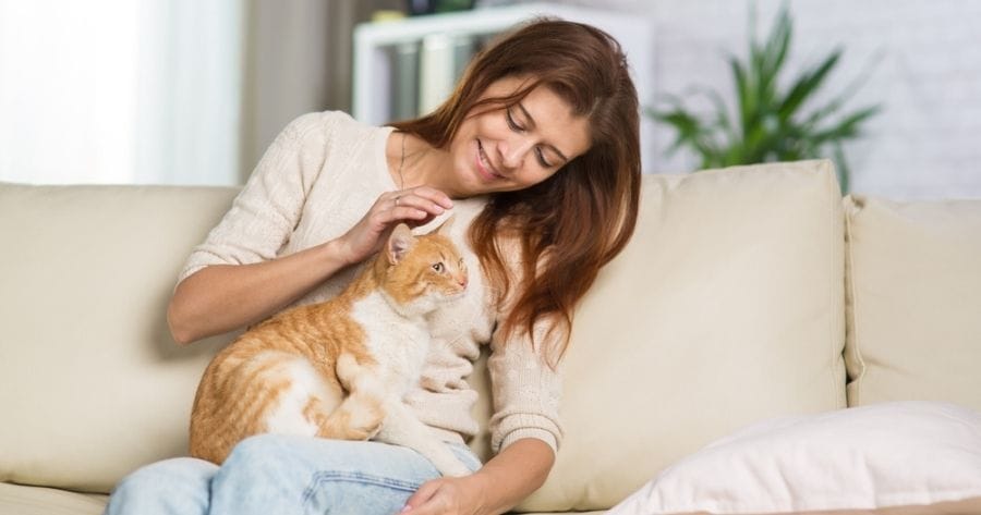 Woman on sofa with ginger cat